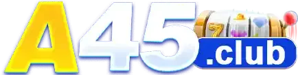 braa45.net Logo